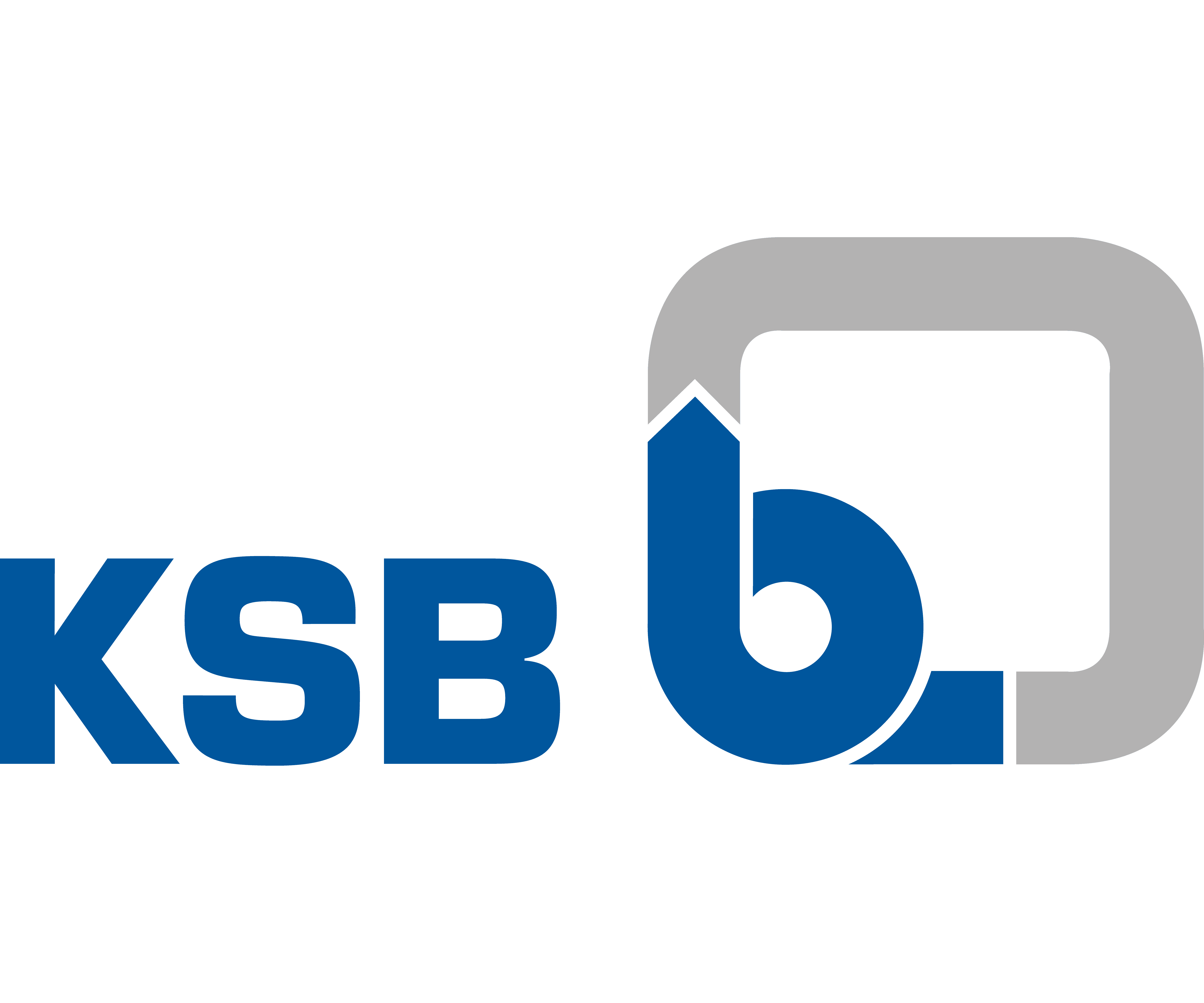 KSB. KSB AG. Насос логотип. ООО КСБ.