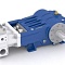 DP 100